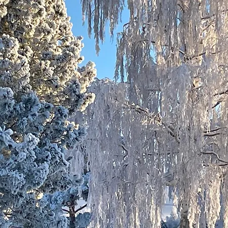 Napapiirin Eraekartano *