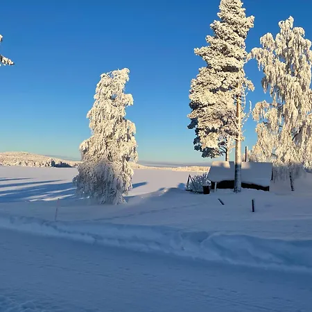 Napapiirin Eraekartano *