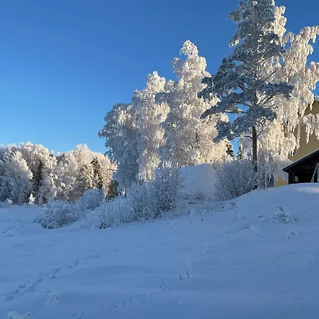 Napapiirin Eraekartano *
