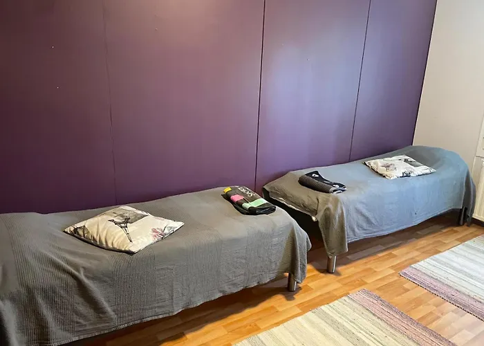 Napapiirin Eraekartano Apartman Pello