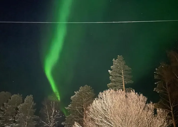 Napapiirin Eraekartano * Pello