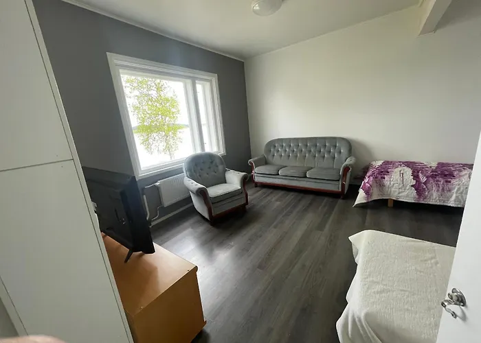 Napapiirin Eraekartano Apartman Pello