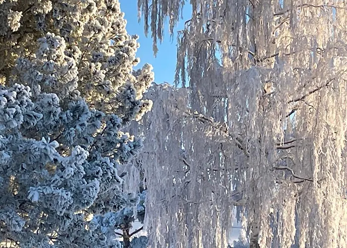 Napapiirin Eraekartano *