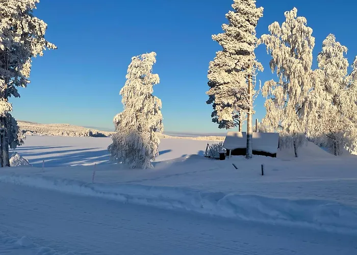 Napapiirin Eraekartano *