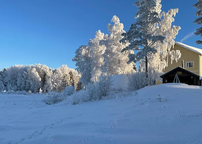 Napapiirin Eraekartano *
